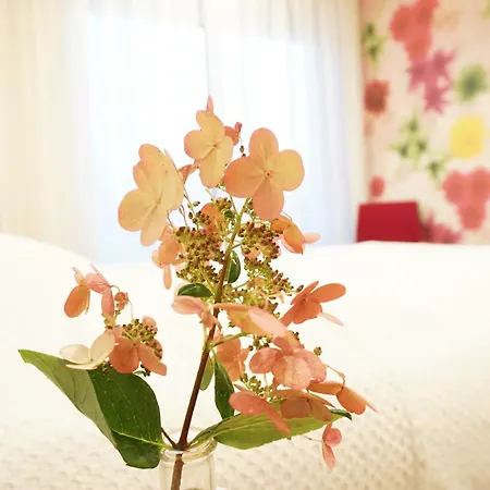 Apartamento Dahoam Am *