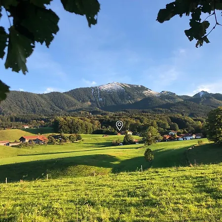 Apartamento Dahoam Am *